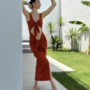 Cinnemon Dress